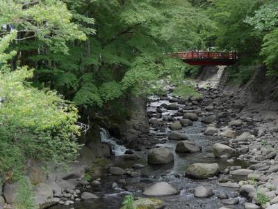伊豆・浜松2泊3日の旅2017夏《ぐらんぱる公園、渡月荘金龍SORA、修善寺散策》