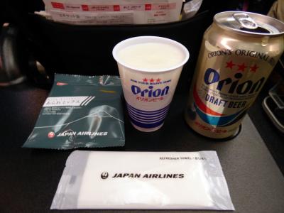 ４２．卒業旅行の沖縄 宮古島 アラマンダ２泊＋前・後泊　宮古島のレンタカードライブその１１　Ｊネットレンタカー返却　空港レストラン ぱいぱい のむら　の夕食　宮古島～羽田 ＪＴＡの翼の空の旅