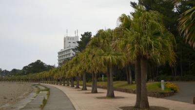 初めての宮崎県　青島　観光