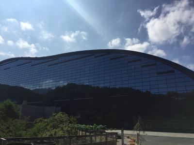 （備忘録）九州国立博物館 ラスコー展へ。