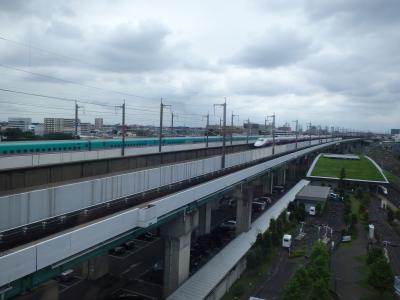 [2017年7月＆8月] 白浜旅行の蛇足編、大井競馬場と鉄道博物館に寄ってみた