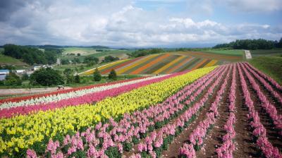 ドライブat北海道~気ままに一人旅~Vol.2