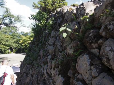 バスツアーで行く３越前大野城