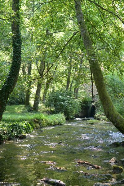 自然公園『Vrelo Bosne（ブレロ・ボスネ）』