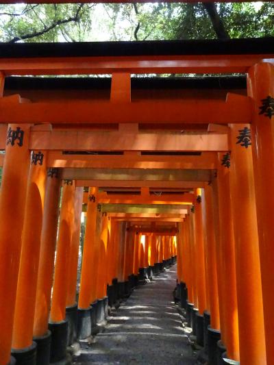 この家族の辞書に「学習」という文字はないのか？またまた酷暑の関西に出没しているよ　　　　　　～大阪・京都　　なんだか高い所に縁のある旅～