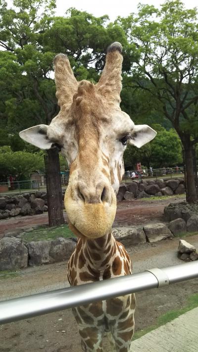 いざ東伊豆へ！ (2日目)  伊豆アニマルキングダム