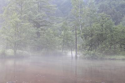 やっぱり夏の上高地は最高だ～＼(^o^)／～トレッキングとホテルステイ～Vol.2