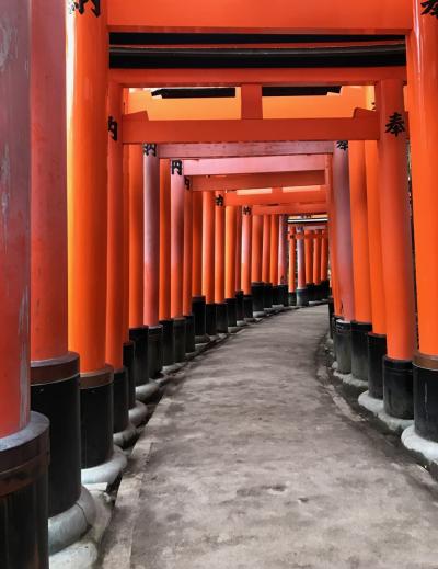 外国人にも京都で一番の人気スポット「伏見稲荷」