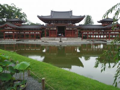 阿蘇美忍、5都物語~♪(^ー^)平等院鳳凰堂~町歩き~!