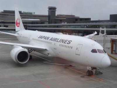 2017年2月　ベトナムの旅～飛行機編　日本航空　ビジネスクラス～