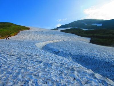 猫探し【山形（鳥海山登山 2017年・Mt. Chokai)編】