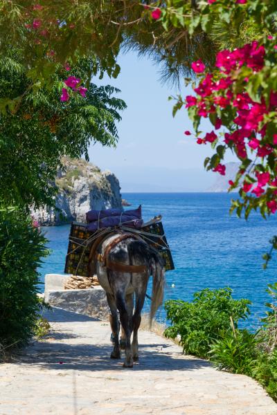 ギリシャの旅（３）美しくのどかな島イドラ