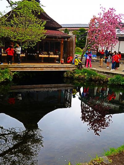 忍野八海 a　湧池・鏡池あたり　賑わいの中心　☆湧水の冷たさを実感し　