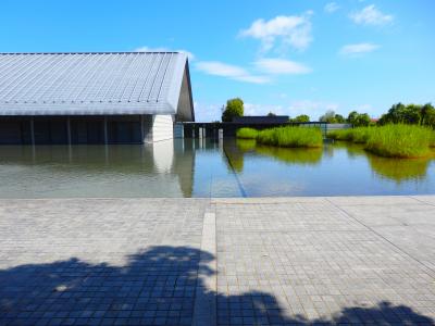 真夏の琵琶湖畔の水面に浮かび上がる美術館