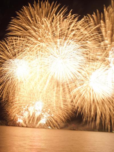 2017年　8月　滋賀県　大津花火大会「打ち上げ花火　下から見て来ました。」