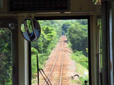 一時帰国★天浜線ゆるゆる途中下車の旅1★新所原駅