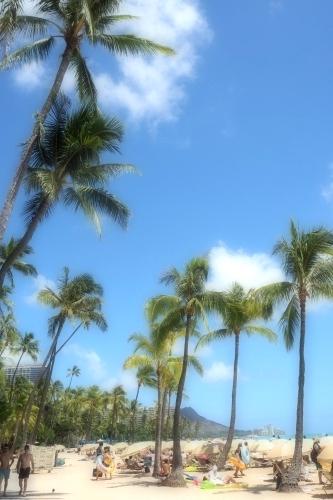 Hawaii * ヒルトン・ハワイアン・ビレッジ・ワイキキ・ビーチ・リゾート