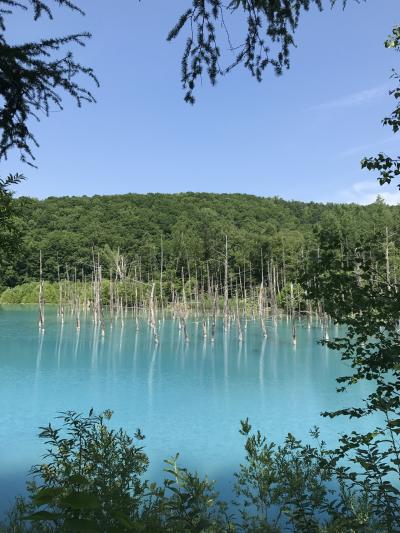 2回目の北海道 夏編 ③