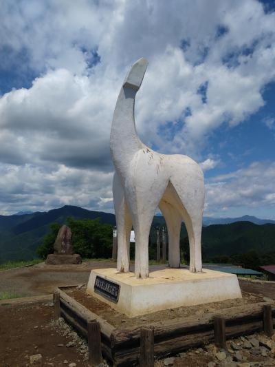 陣馬山から・・・想定外になる（孫と登山？第２弾）