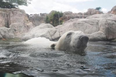 運航再開ぶらり旅～ズーパラダイス八木山・仙台うみの杜水族館編～