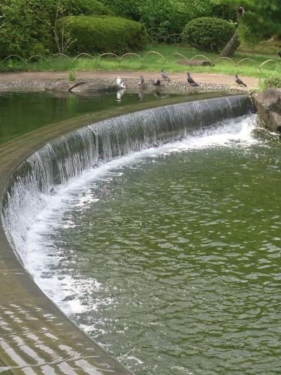 行船公園と城南島をお散歩     :*:・゜'★.。・:*:・゜'☆♪