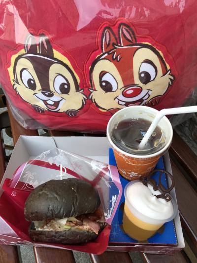 ２０１７【年パス日記】その２２　ガラガラくじに挑戦しよう！＠ディズニー夏祭り