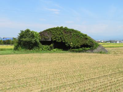 真夏の高知の旅（１）