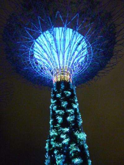 バリ島 ジャワ島(ボロブドゥール) そしてオマケのシンガポール