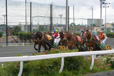 馬たちを眺め、ワインと食を楽しむ旅～日高・十勝２泊３日～その１