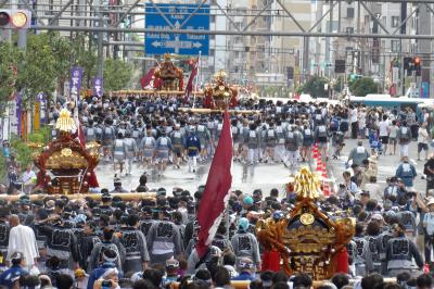 深川八幡祭り－神輿渡御１