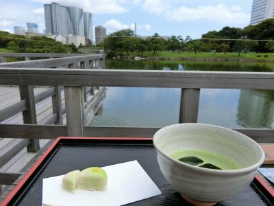 キバナコスモス咲く浜離宮恩賜庭園と周辺散歩