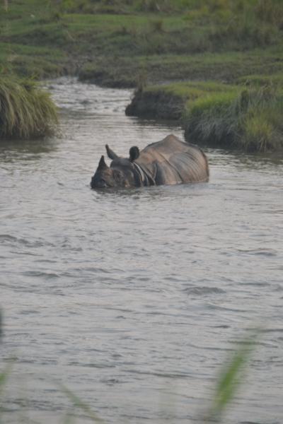 ネパール旅行記(5) カトマンズからチトワンへバス移動