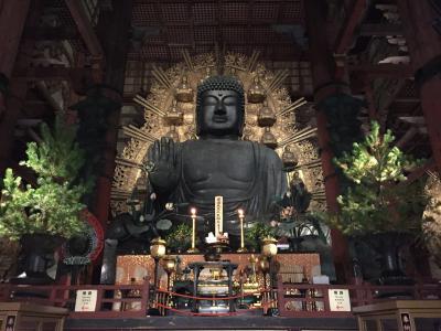 初めての奈良観光