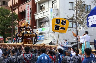 深川・富岡八幡宮例大祭 2017 各町神輿連合渡御 (後半)