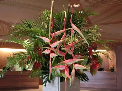 ハワイの休日・の～んびり２３日間　余談になりますが・・・、数年前から気になっていたハレクラニのフロント・ロビーに咲いていた花の名前が、やっと「Heliconia　sexypink（ヘリコニア・セクシーピンク）」だと判りました。（2017）