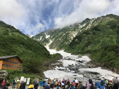 夏の白馬岳 高山植物と大雪渓
