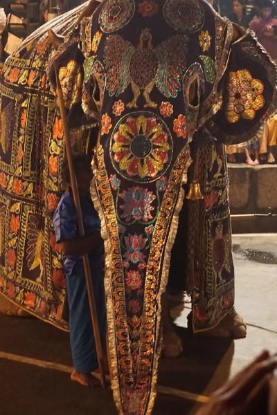 【 2017年 スリランカ旅行 】 ~ダイジェスト~