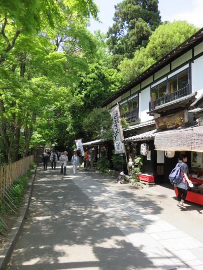 そうだ花を見よう!!～神代植物公園＆深大寺～