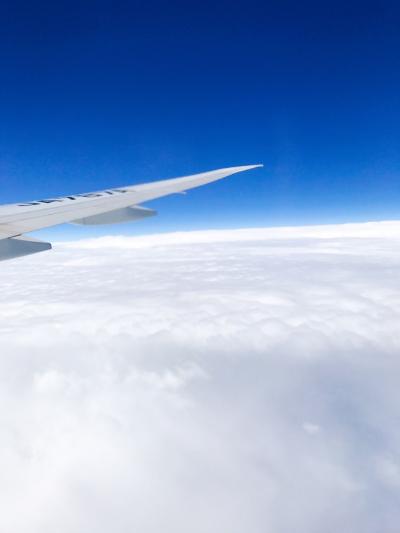 ロンドン7日間の旅①