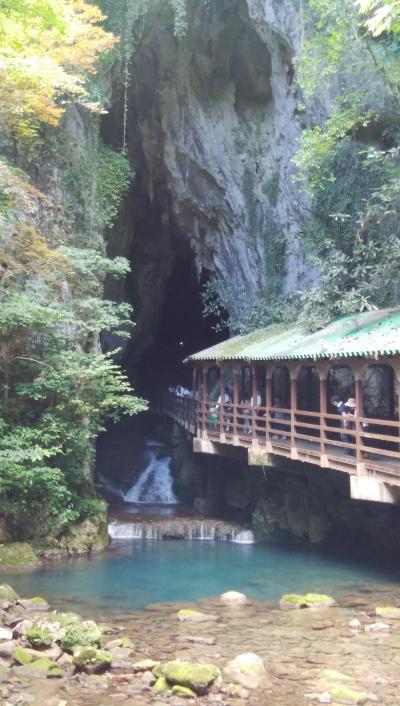 まるごと山口県二泊三日②萩城下町・反射炉・秋吉台・秋芳洞・別府弁天池・春帆楼