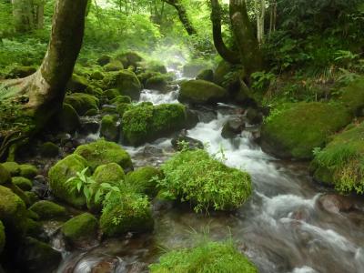 大山登山と鳥取の名宿「岩井屋」「旅館大橋」宿泊4泊5日　その4大山寺・木谷沢渓流観光編