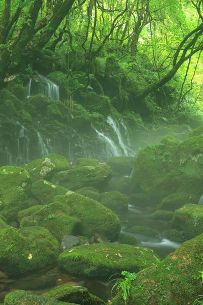 秋田・青森　元滝伏流水、尻屋埼の寒立馬