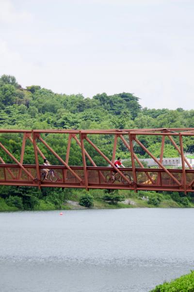 プンゴルでお散歩(Punggol Waterway and Lorong Halus Wetland)