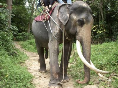 2017年サムイ島3泊5日