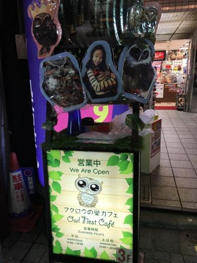前から気になっていたフクロウカフェに行って来た。