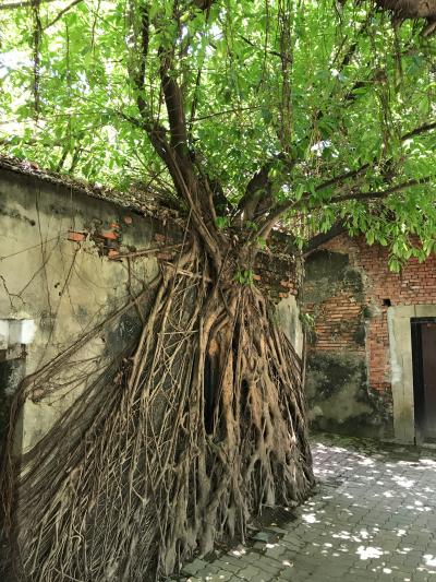 台南メインの3泊4日1人旅 ② 安平巡り(老街→古堡→樹屋)して台北へ