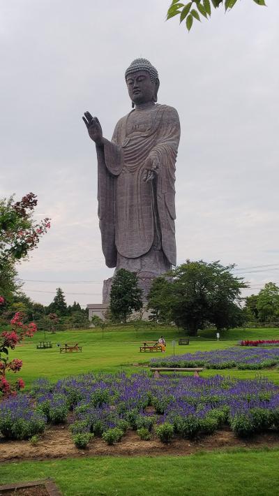 牛久大仏からひたち海浜公園のコキアライトアップ観賞へ  その1