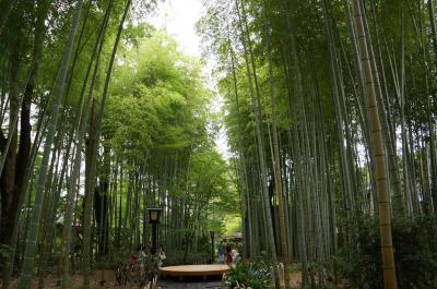 4人旅行「修善寺・伊豆長岡」2017　前編