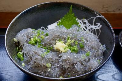 湘南で１泊。憧れの生しらすを食べに行く。