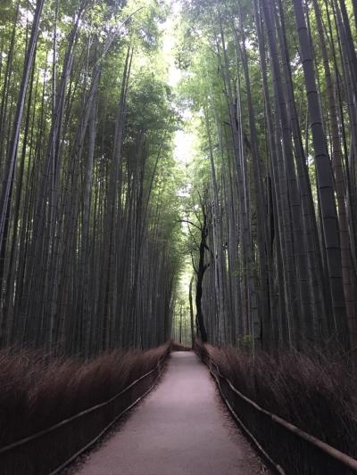 嵯峨野竹林と嵐山　渡月橋